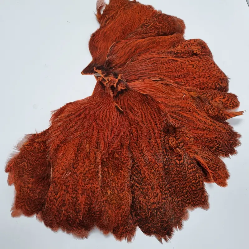 Whiting Coq de Leon Hen Cape in Speckled Orange-4